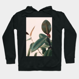 Ficus Elastica #5 Hoodie